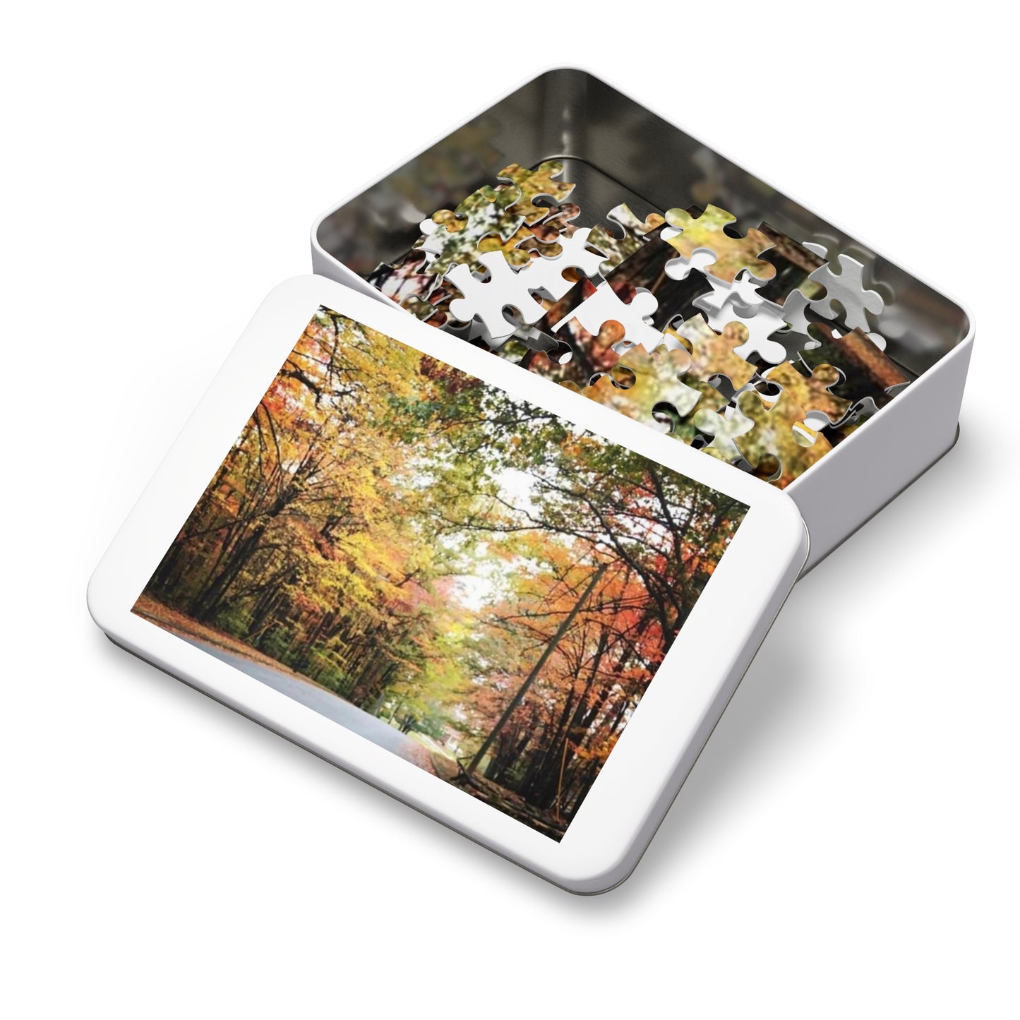 Jigsaw Puzzle (30, 110, 252, 500,1000-Piece)